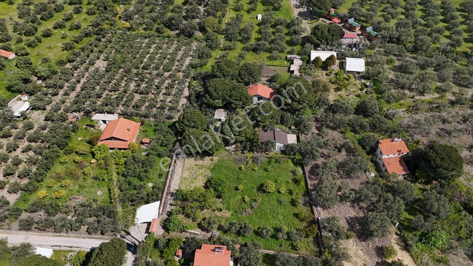 Kalem Adası Manzaralı, Denize 100m Çiftlik Evi - Görsel 14