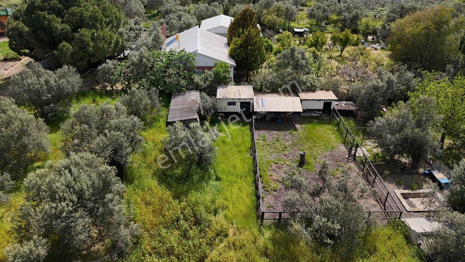 Kalem Adası Manzaralı, Denize 100m Çiftlik Evi - Görsel 20