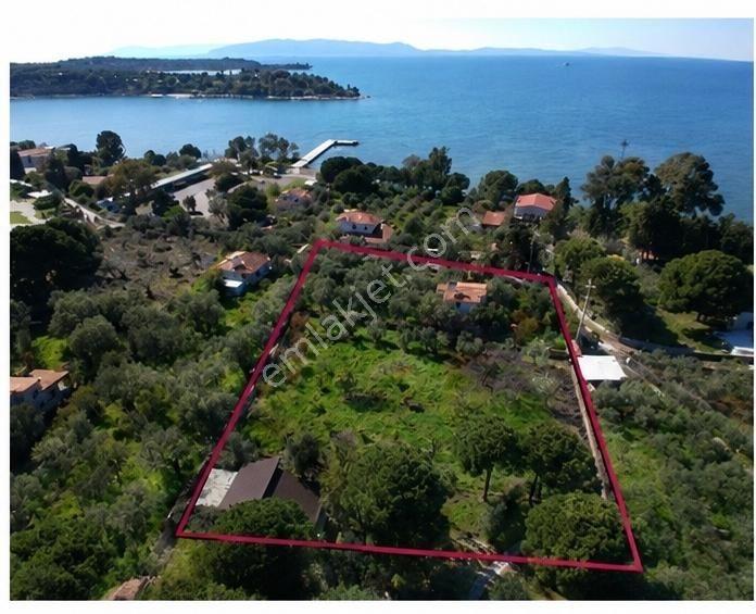 Kalem Adası Manzaralı, Denize 100m Çiftlik Evi - Görsel 23