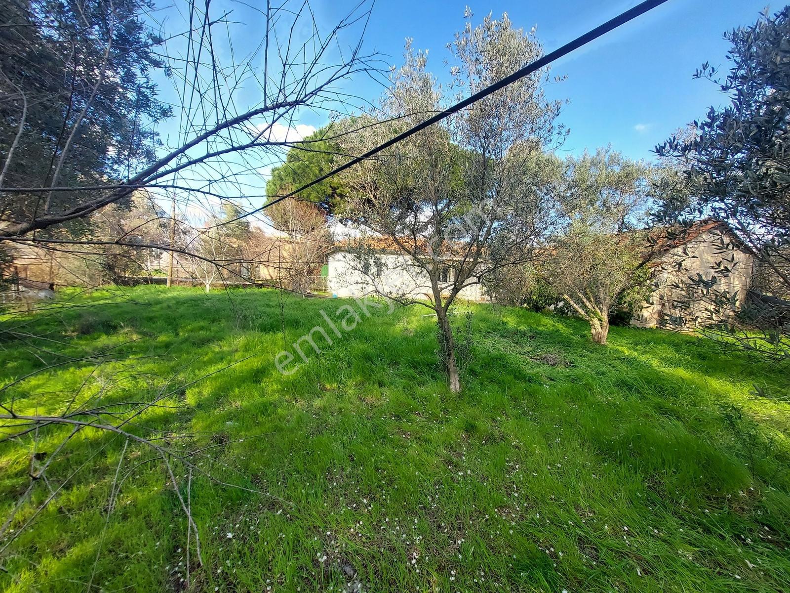 Urla Çeşme Yoluna Cepheli Köyiçi İmarlı Satılık Arsa !!! - Görsel 19