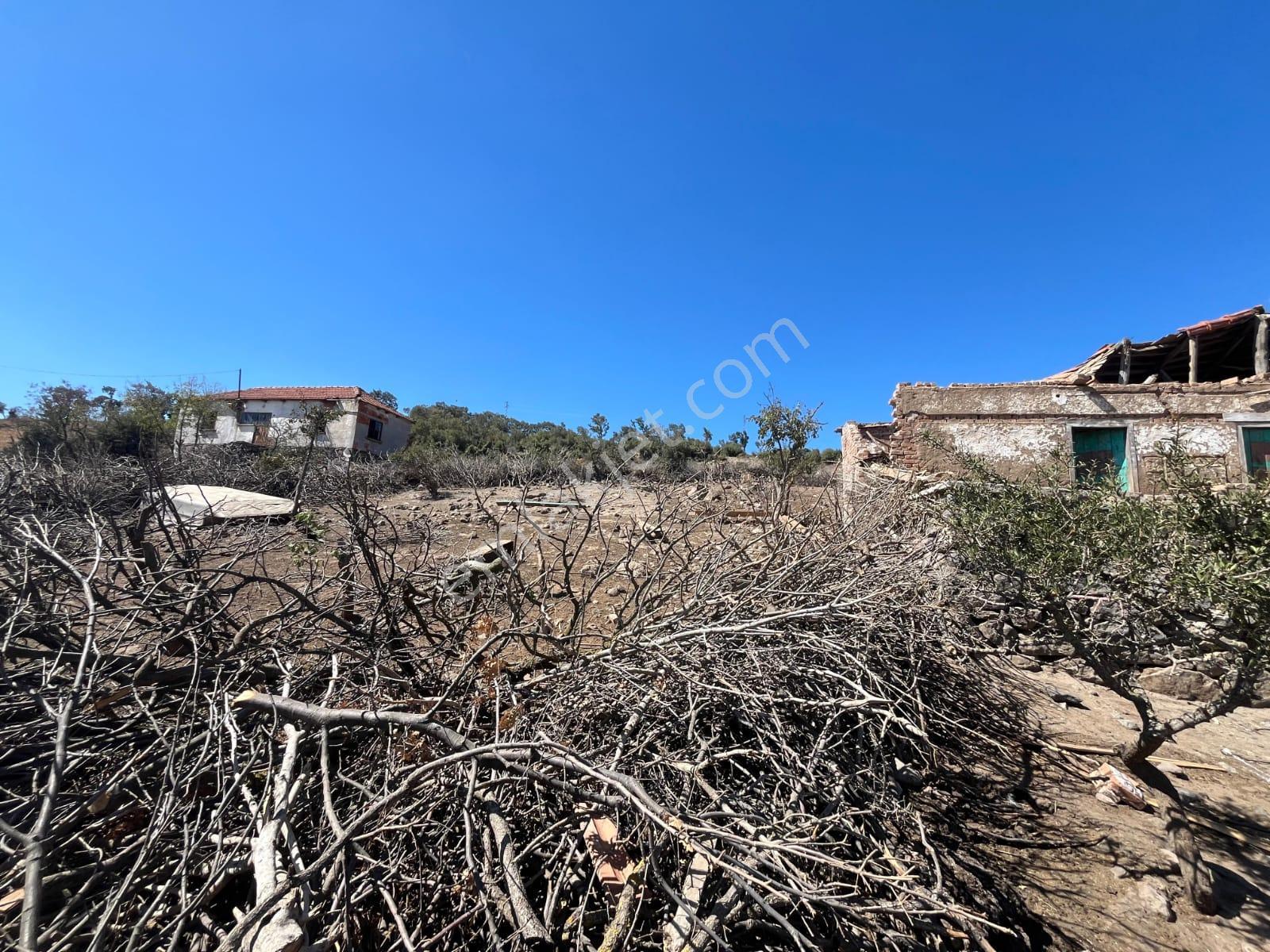 Bergama Rahmanlar Mh 830 M2 2 Kat İmarlı Satılık Arsa - Görsel 4