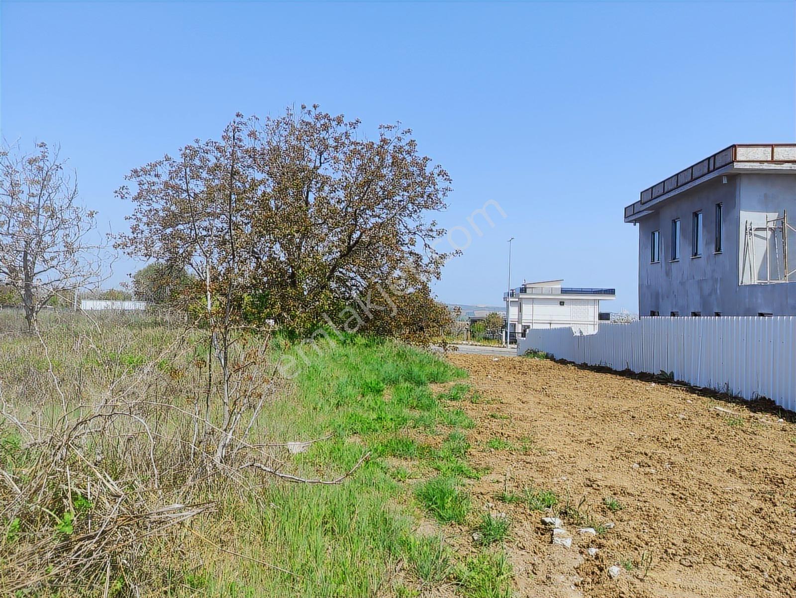Daire Takasına Açık Yerleşim İçinde Ayçadan Satılık 1073 M2 Arsa - Görsel 7