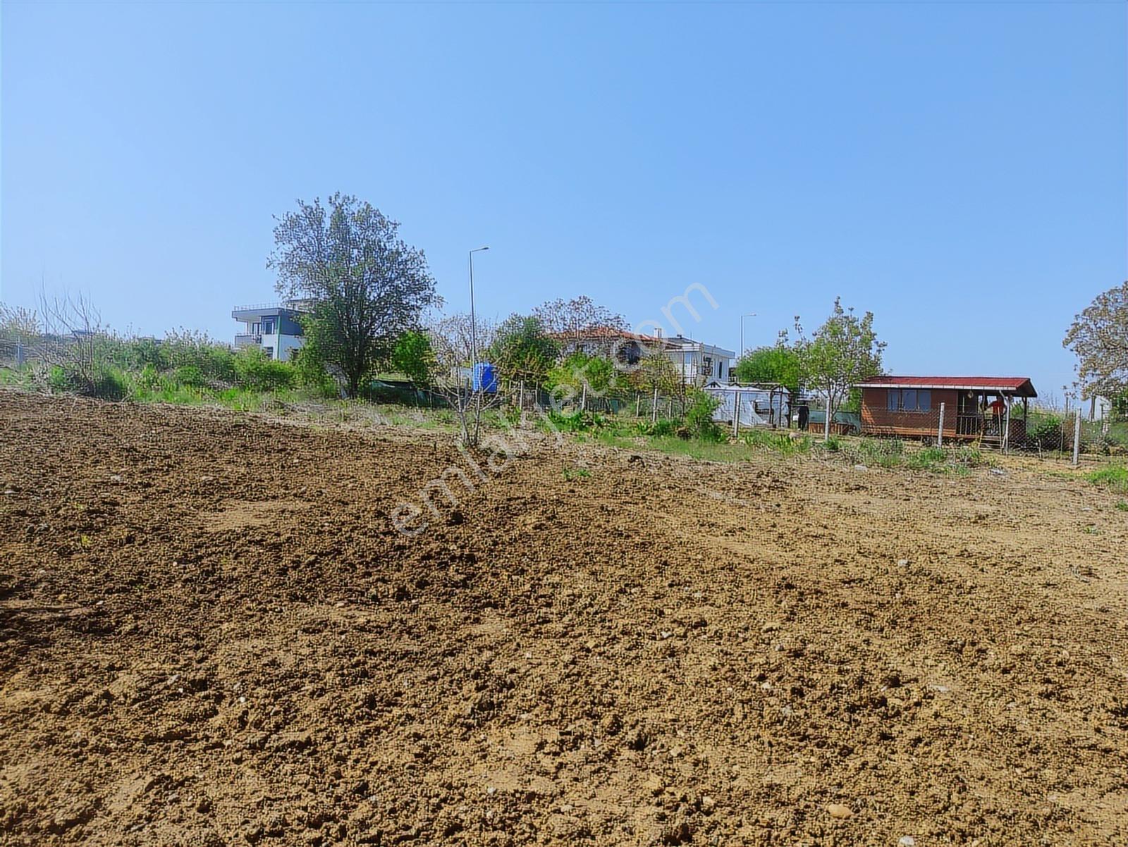 Daire Takasına Açık Yerleşim İçinde Ayçadan Satılık 1073 M2 Arsa - Görsel 13