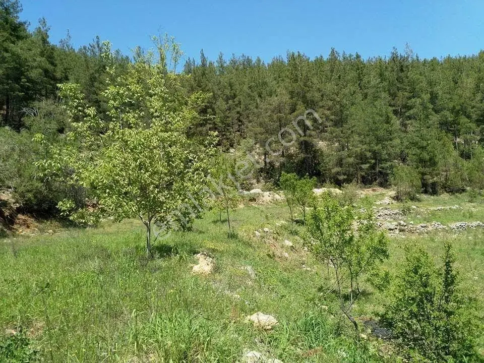 Bucakta 2912 M² Dere Kenarı Satılık Arazi