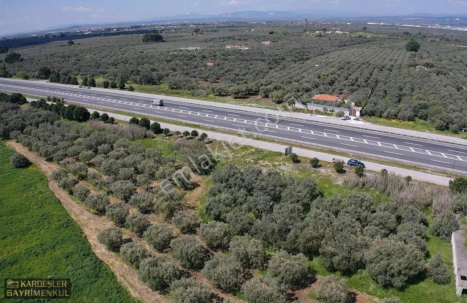 İstanbul Yolu Üzerinde Asfaltta Sıfır Zeytinli Bağ Firenklimevki - Görsel 20