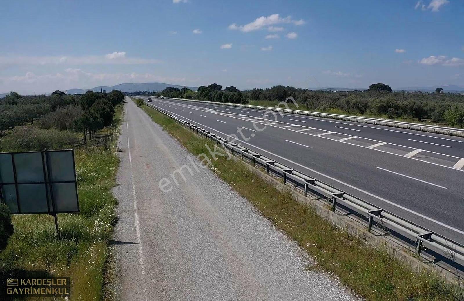 İstanbul Yolu Üzerinde Asfaltta Sıfır Zeytinli Bağ Firenklimevki - Görsel 18