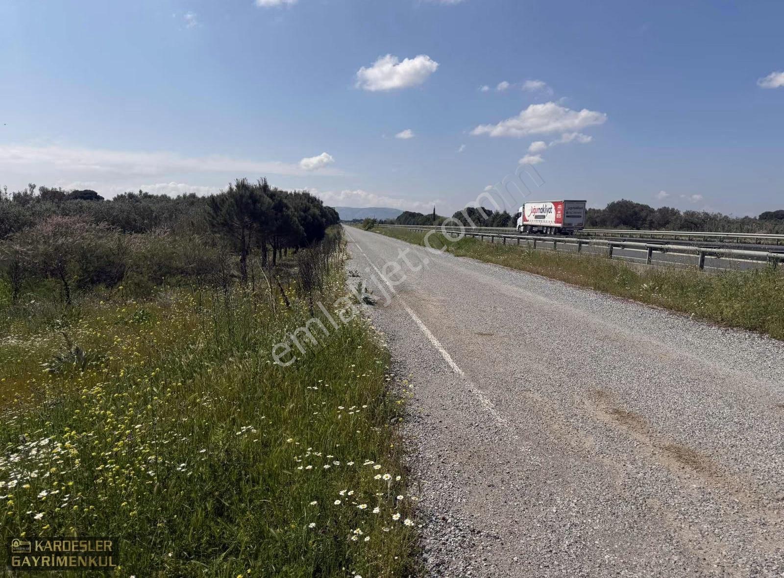 İstanbul Yolu Üzerinde Asfaltta Sıfır Zeytinli Bağ Firenklimevki - Görsel 11