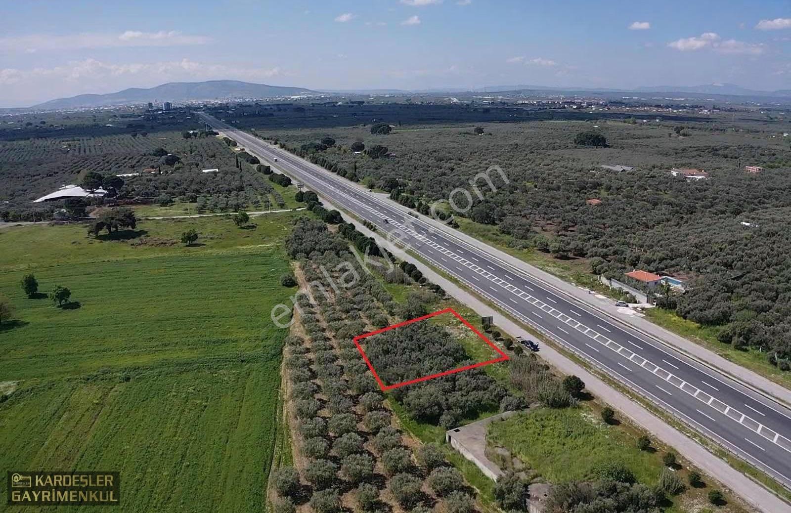 İstanbul Yolu Üzerinde Asfaltta Sıfır Zeytinli Bağ Firenklimevki - Görsel 15