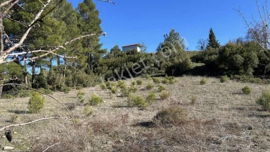 Muğla Menteşede Yola Cephe Satılık Tarla 18.779 M² Tek Tapu - Görsel 2