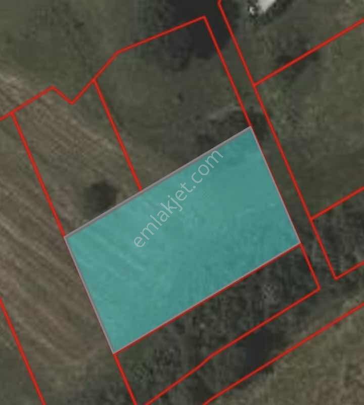 Gül Tatar Dan Sevindikli De Fırsat,yatırımlık 1498 M2 Arsa - Görsel 8