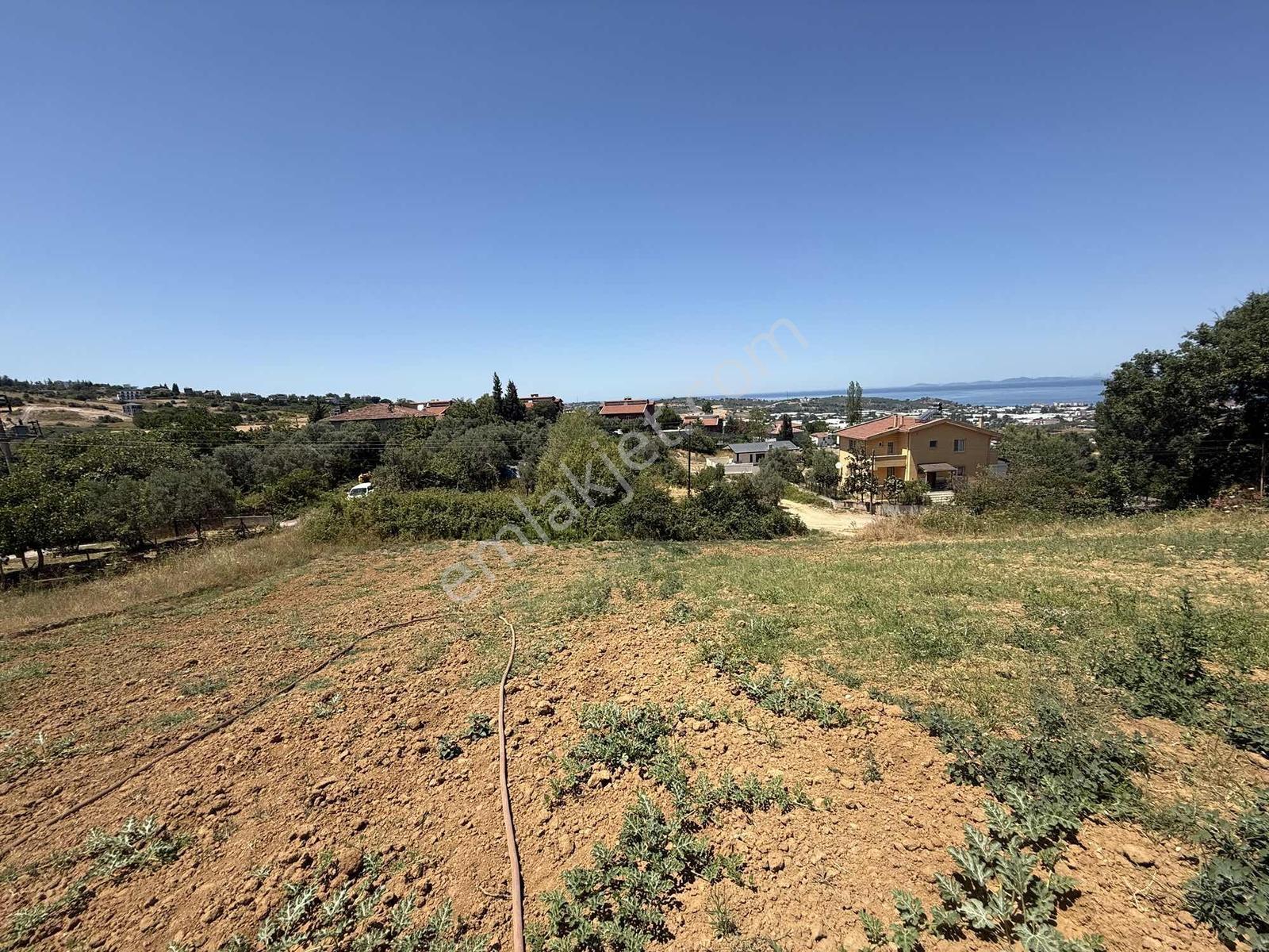 Gül Tatardan Termal Akköyde Villa İmarlı 534 M² Arsa - Görsel 8