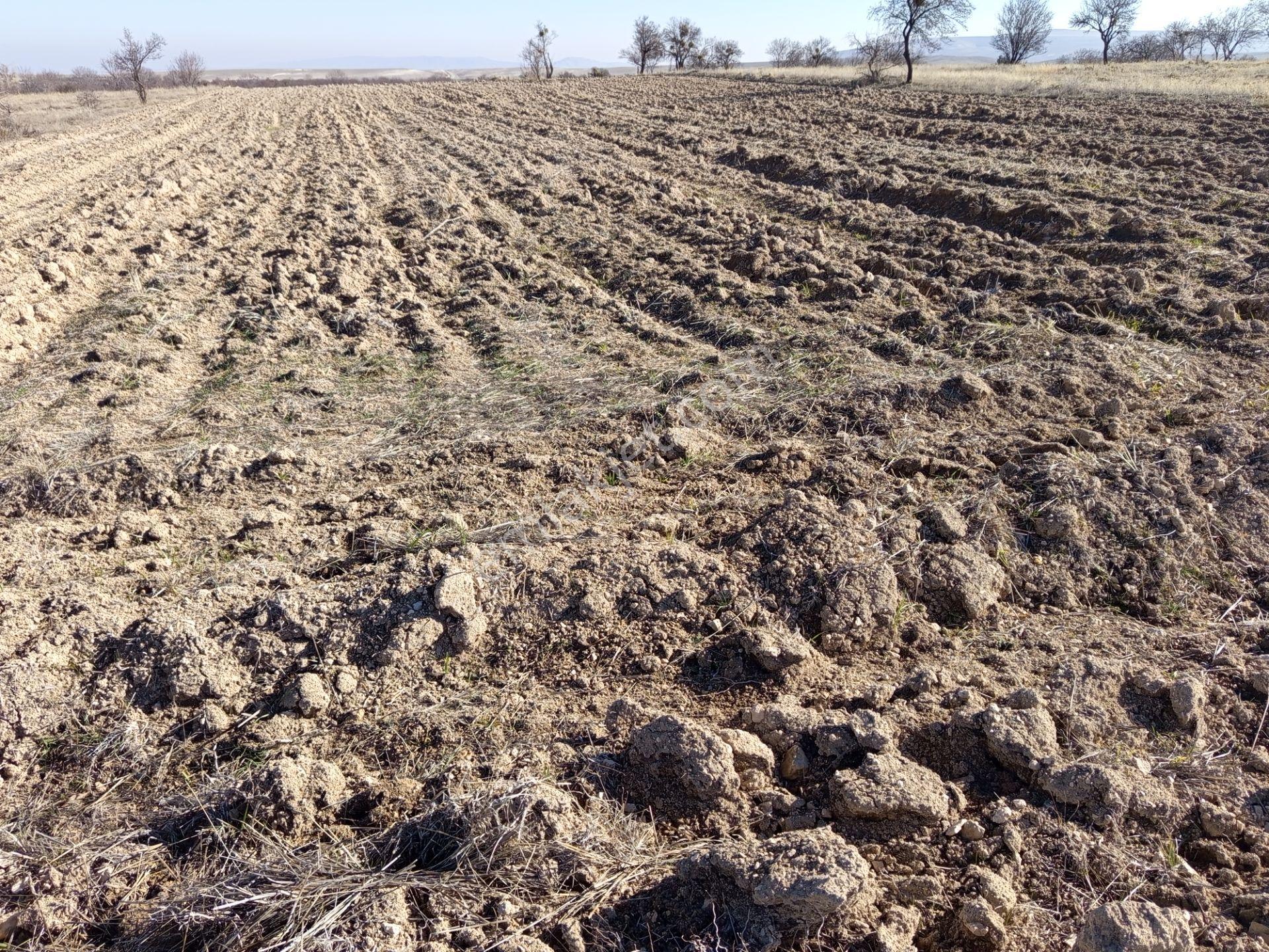 Köye Yakın Yolu Olan Ve Bahçe Olabilecek 3000 M2 Harika Müstakil Bir Arazi - Görsel 8