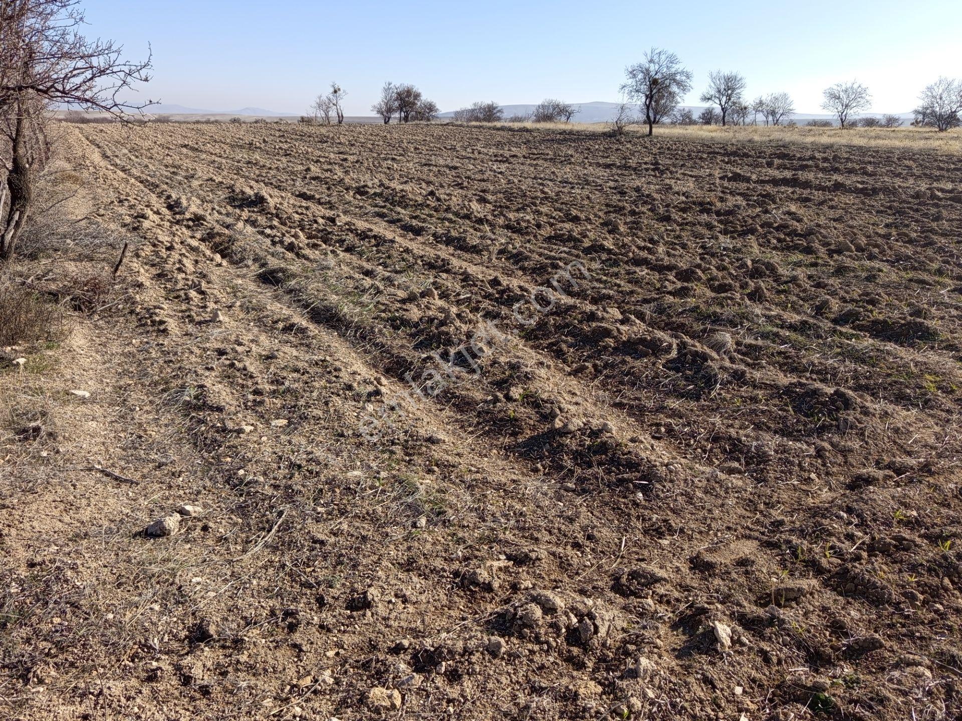 Köye Yakın Yolu Olan Ve Bahçe Olabilecek 3000 M2 Harika Müstakil Bir Arazi - Görsel 7