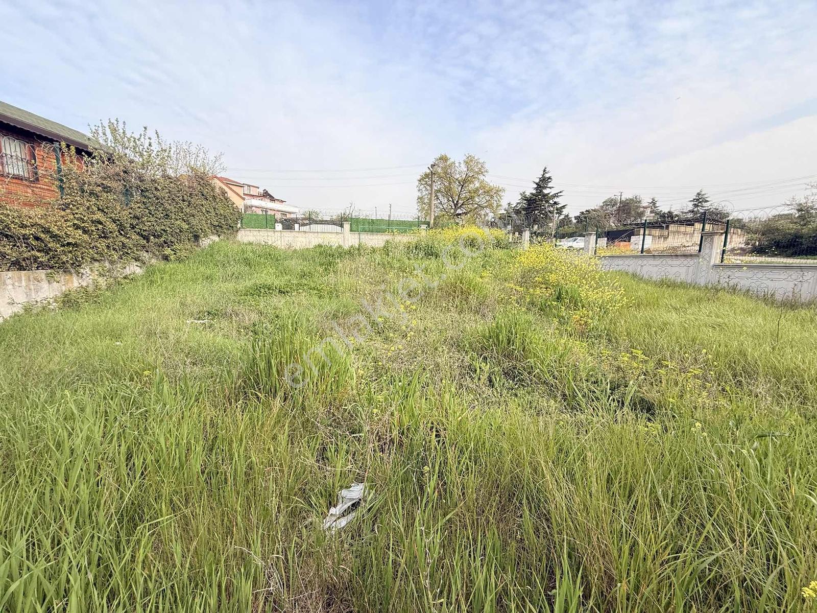 Gül Tatardan Bayramoğlunda 403m² Villa İmarlı Fırsat Arsa - Görsel 4