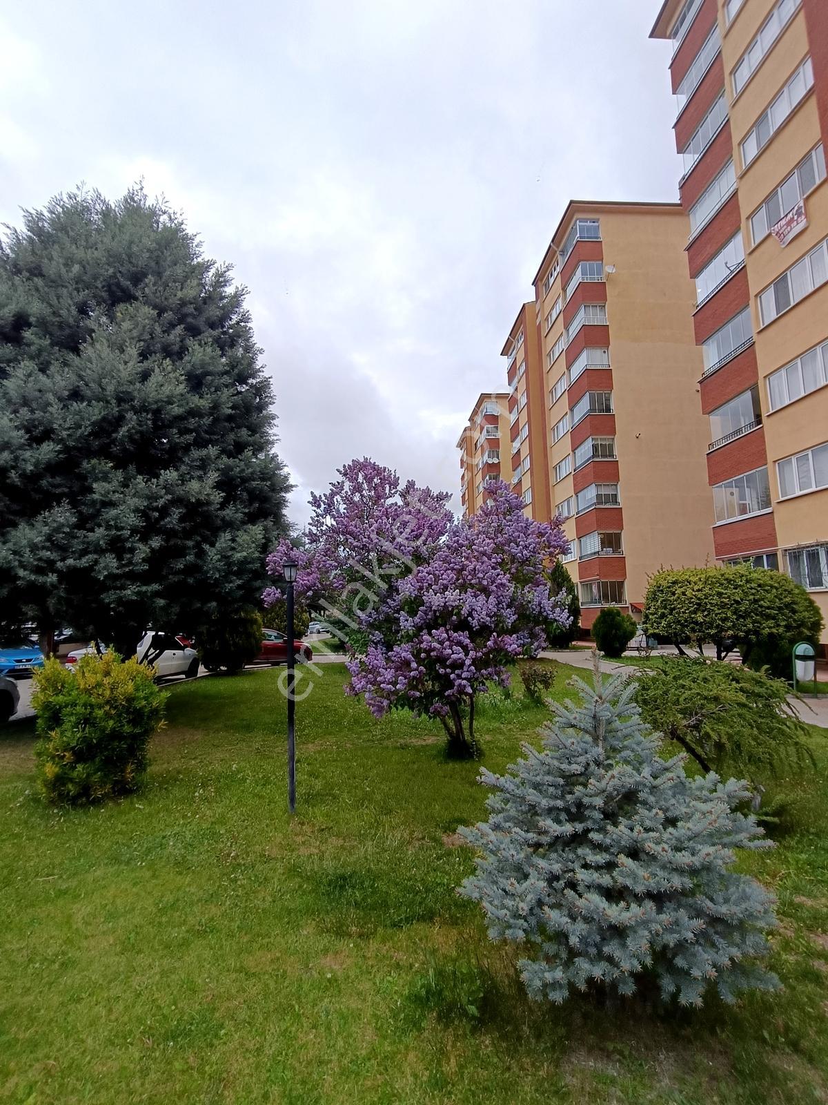 Huzur Doğa Ve Şehir Manzarası!! Yenibağlarda Fırsat 3+1 - Görsel 7