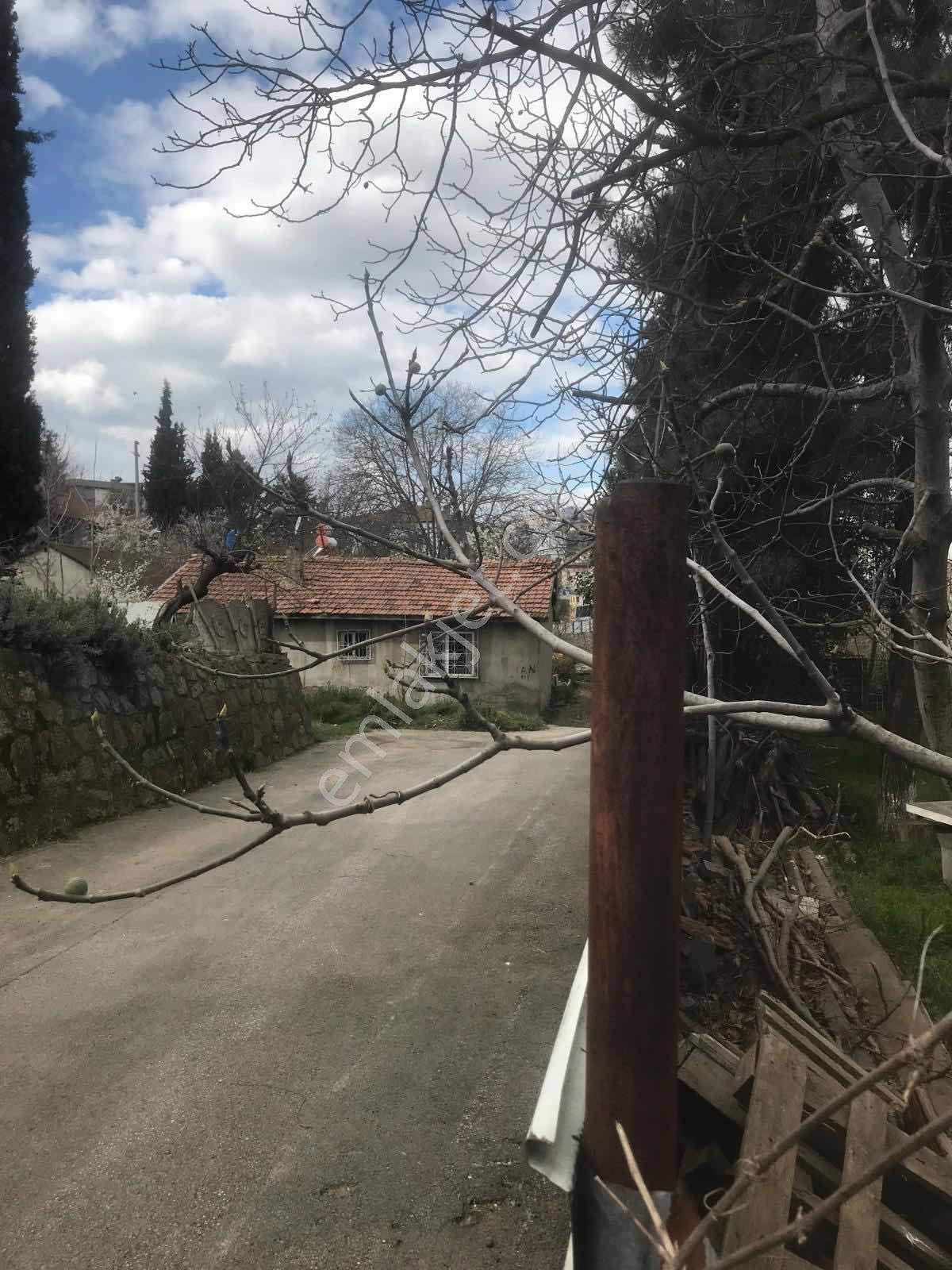 Gebze Yavuzselim De Gold Gayrimenkul Den Yatırımlık Arsa - Görsel 23