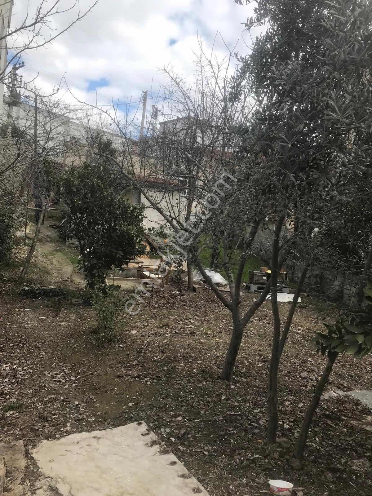 Gebze Yavuzselim De Gold Gayrimenkul Den Yatırımlık Arsa - Görsel 36