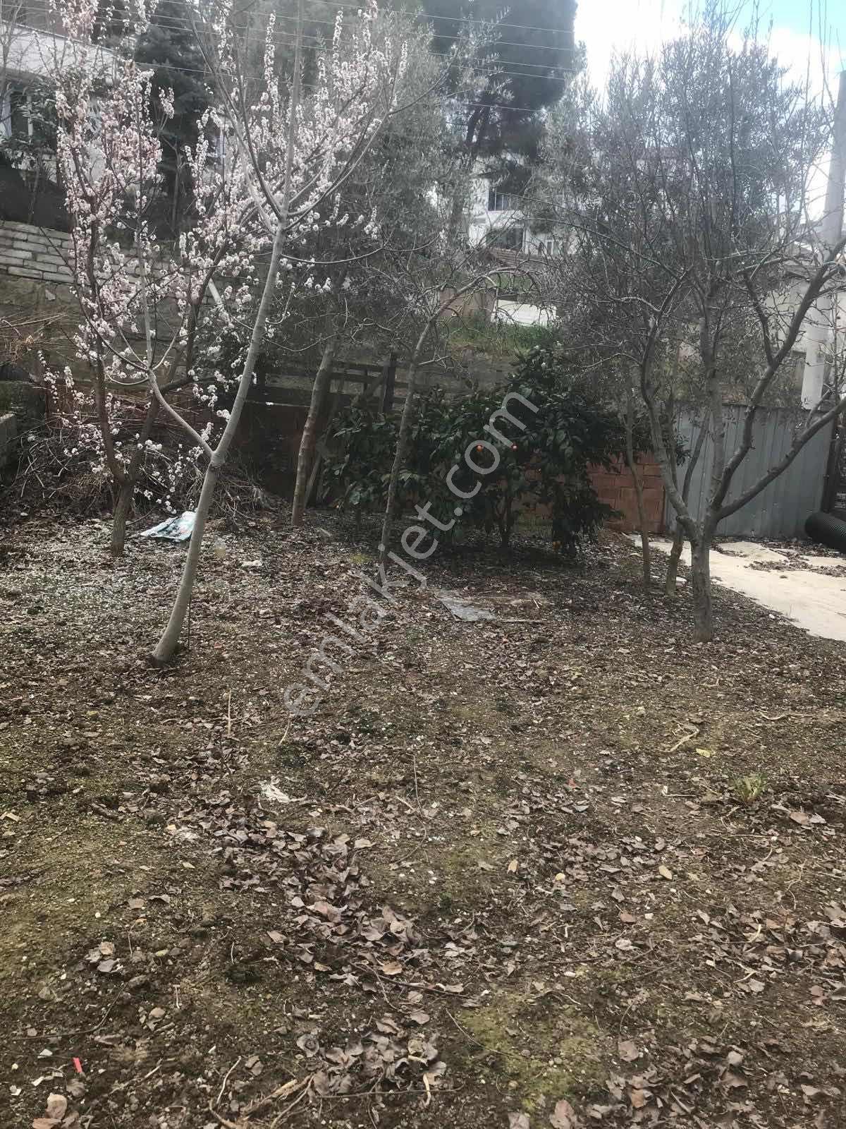 Gebze Yavuzselim De Gold Gayrimenkul Den Yatırımlık Arsa - Görsel 32