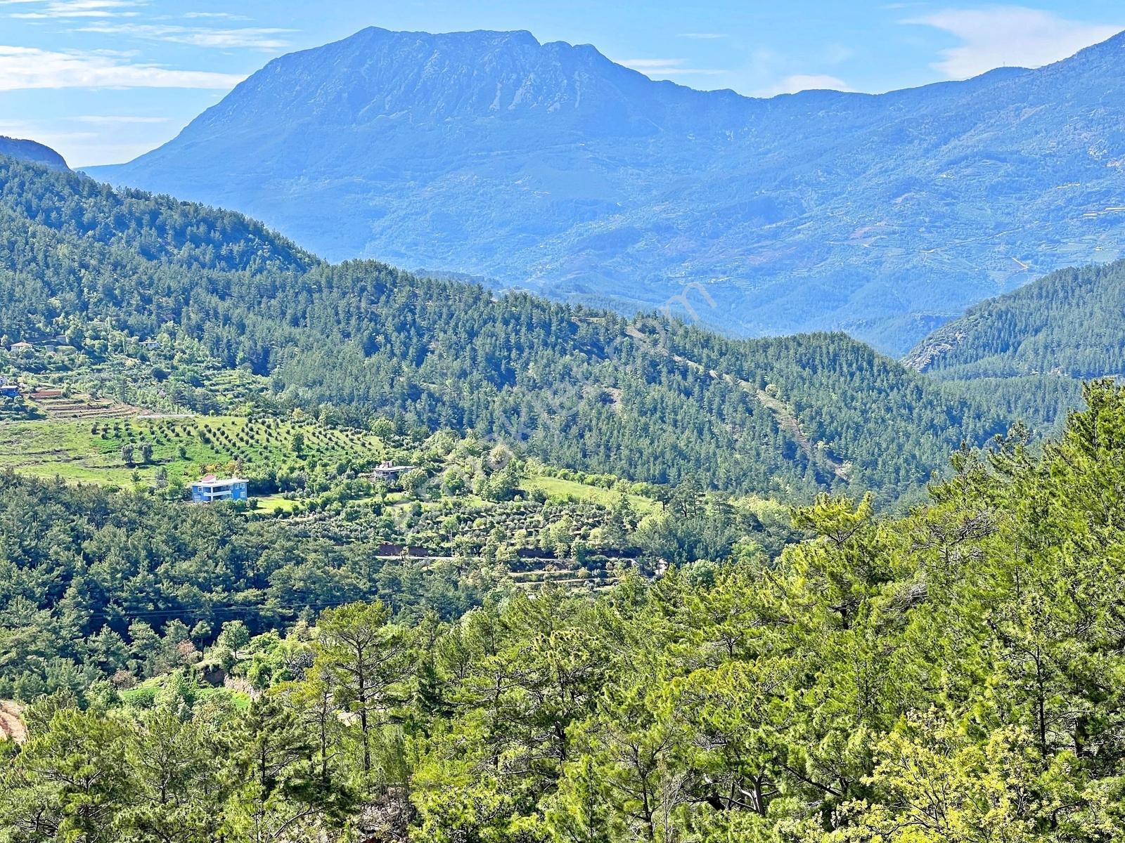Alanya Beldibinde Satılık 4.274 M2 Doğa Manzaralı Müstakil Arsa