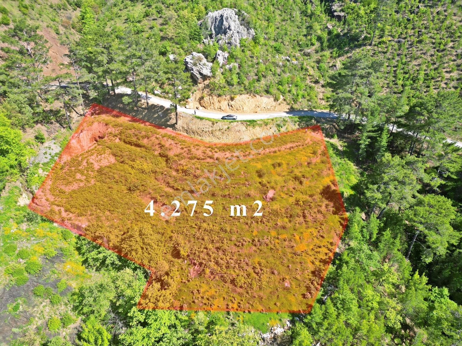 Alanya Beldibinde Satılık 4.274 M2 Doğa Manzaralı Müstakil Arsa - Görsel 9