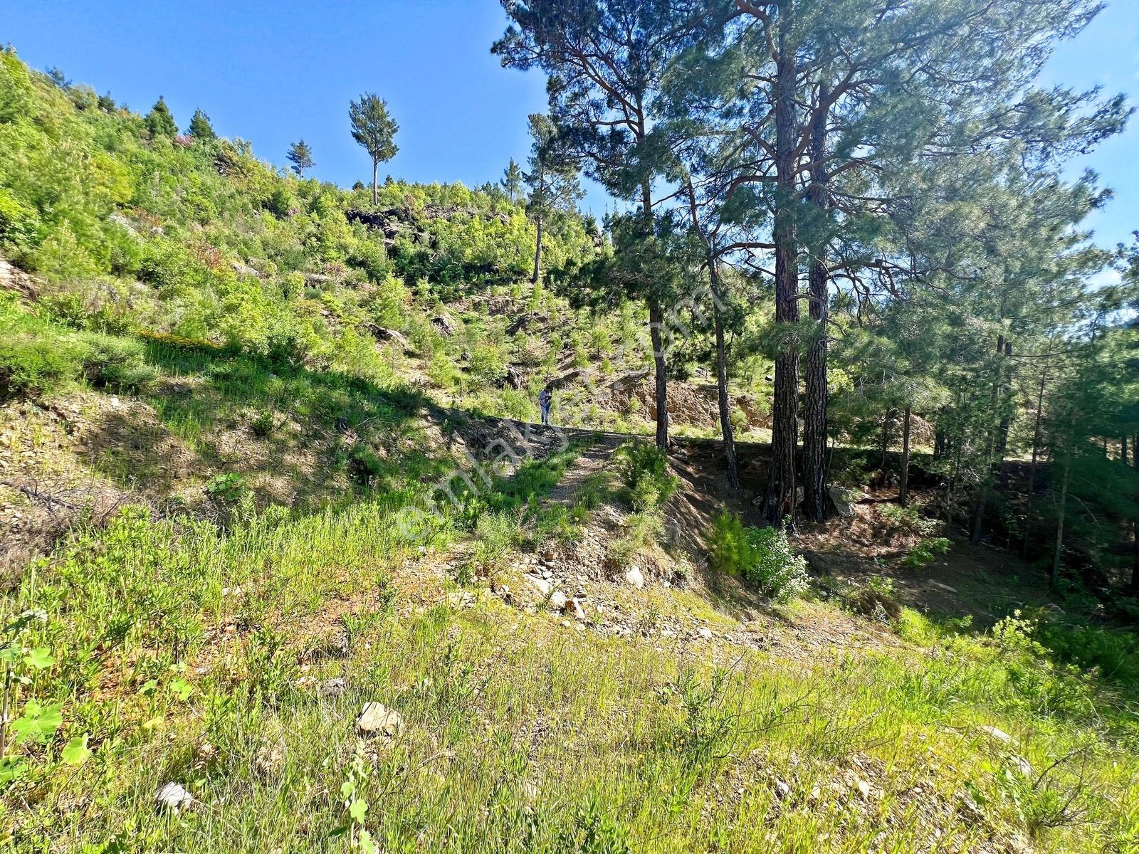 Alanya Beldibinde Satılık 4.274 M2 Doğa Manzaralı Müstakil Arsa - Görsel 5