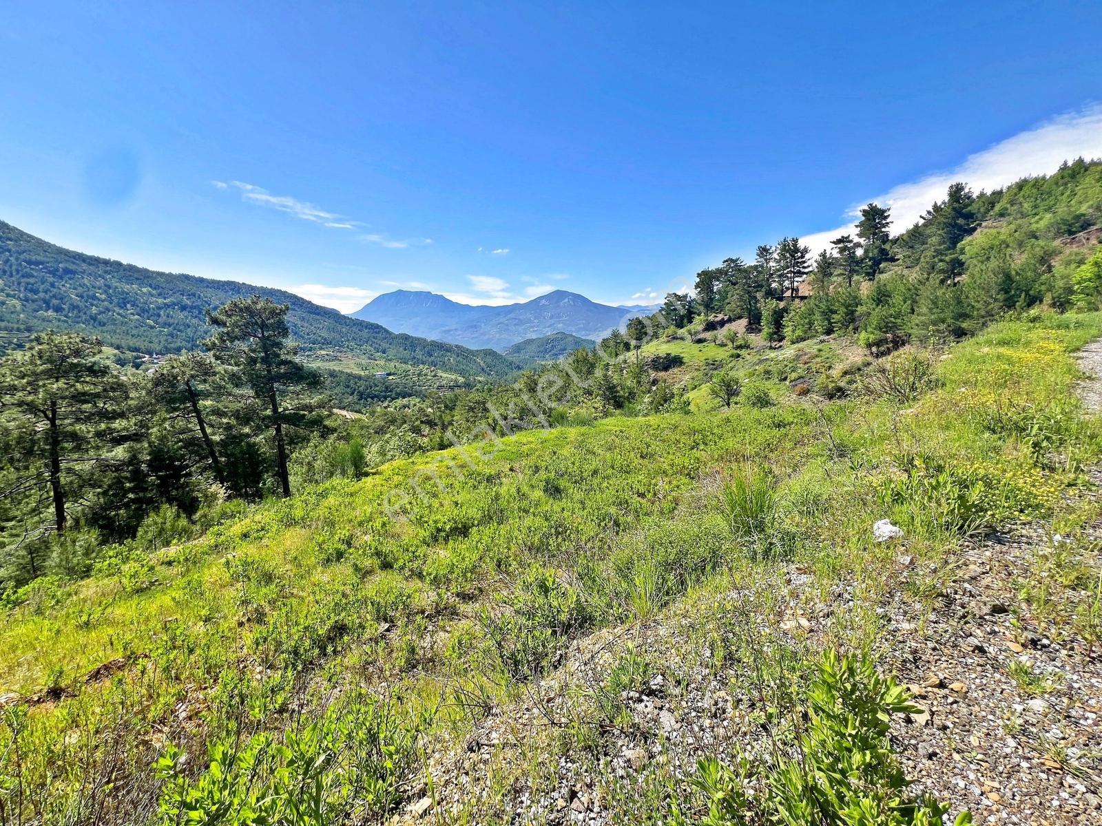 Alanya Beldibinde Satılık 4.274 M2 Doğa Manzaralı Müstakil Arsa - Görsel 13