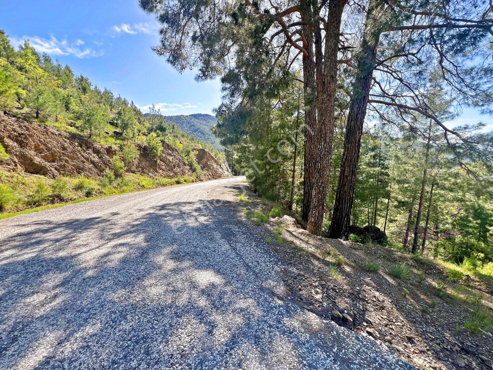 Alanya Beldibinde Satılık 4.274 M2 Doğa Manzaralı Müstakil Arsa - Görsel 16