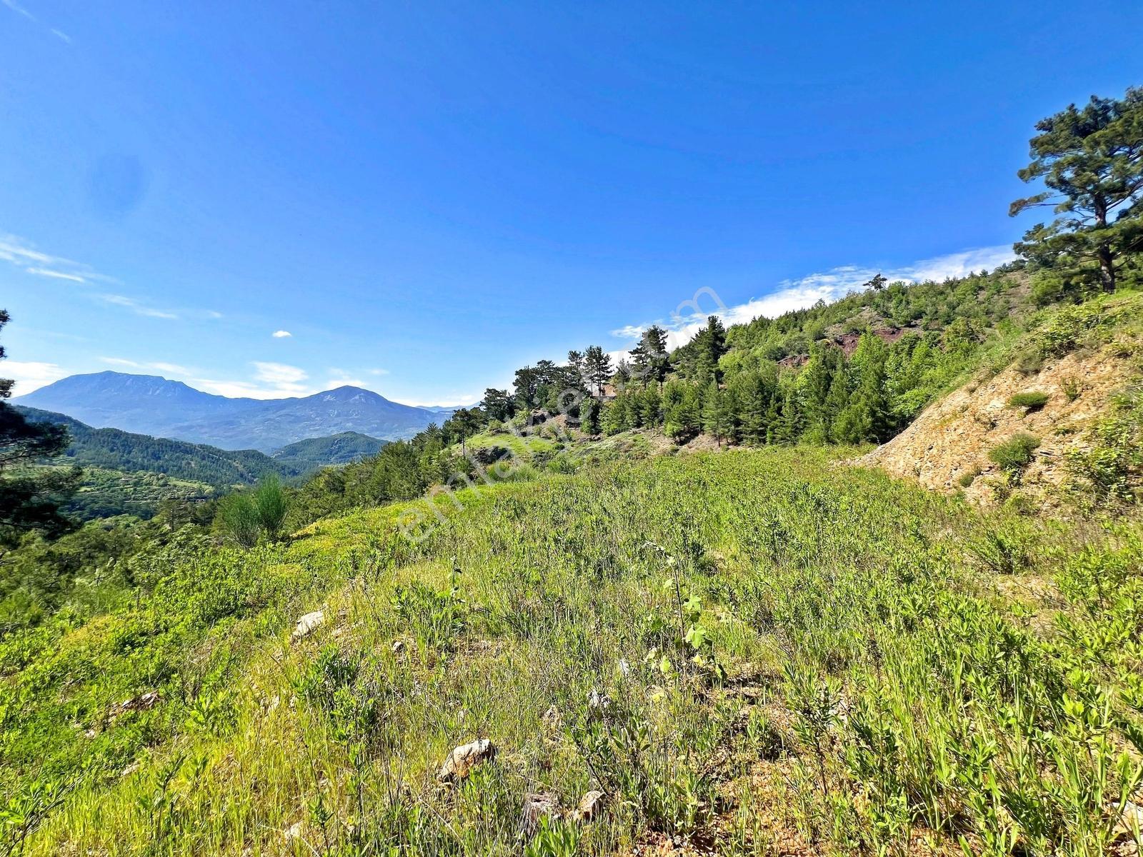 Alanya Beldibinde Satılık 4.274 M2 Doğa Manzaralı Müstakil Arsa - Görsel 19