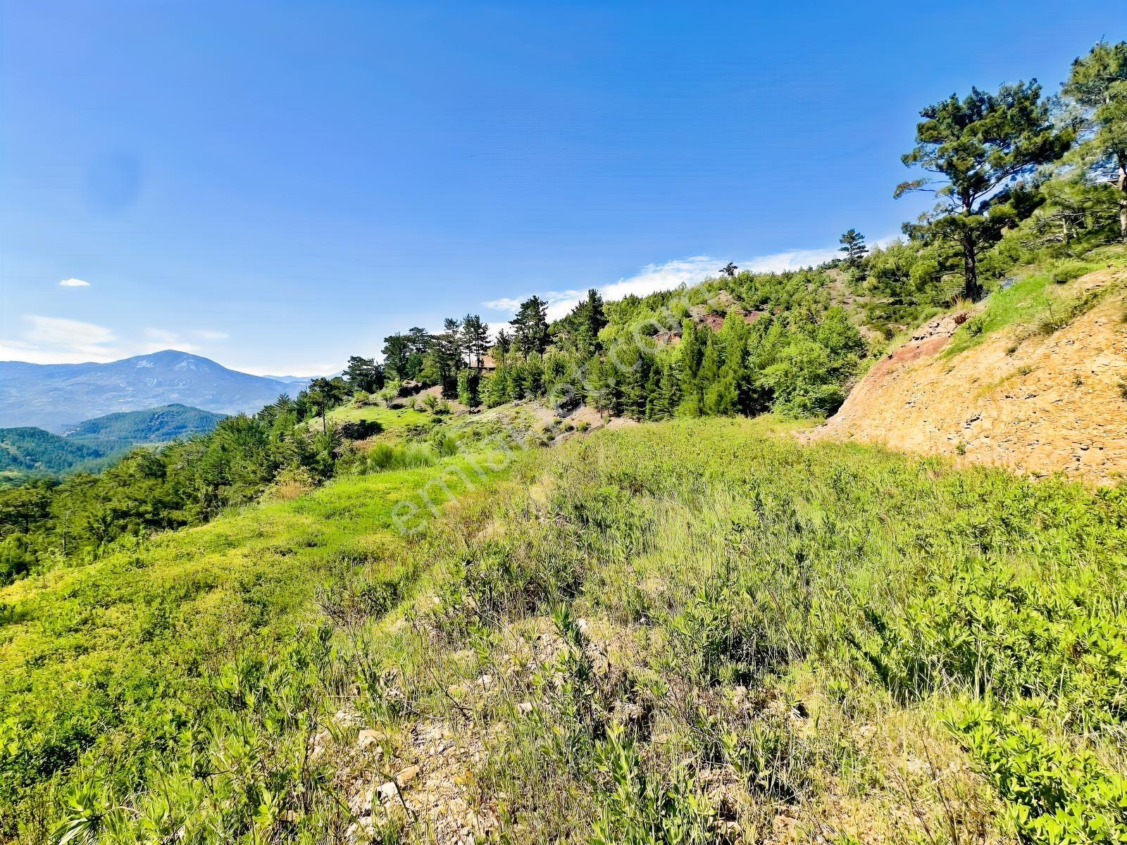 Alanya Beldibinde Satılık 4.274 M2 Doğa Manzaralı Müstakil Arsa - Görsel 3