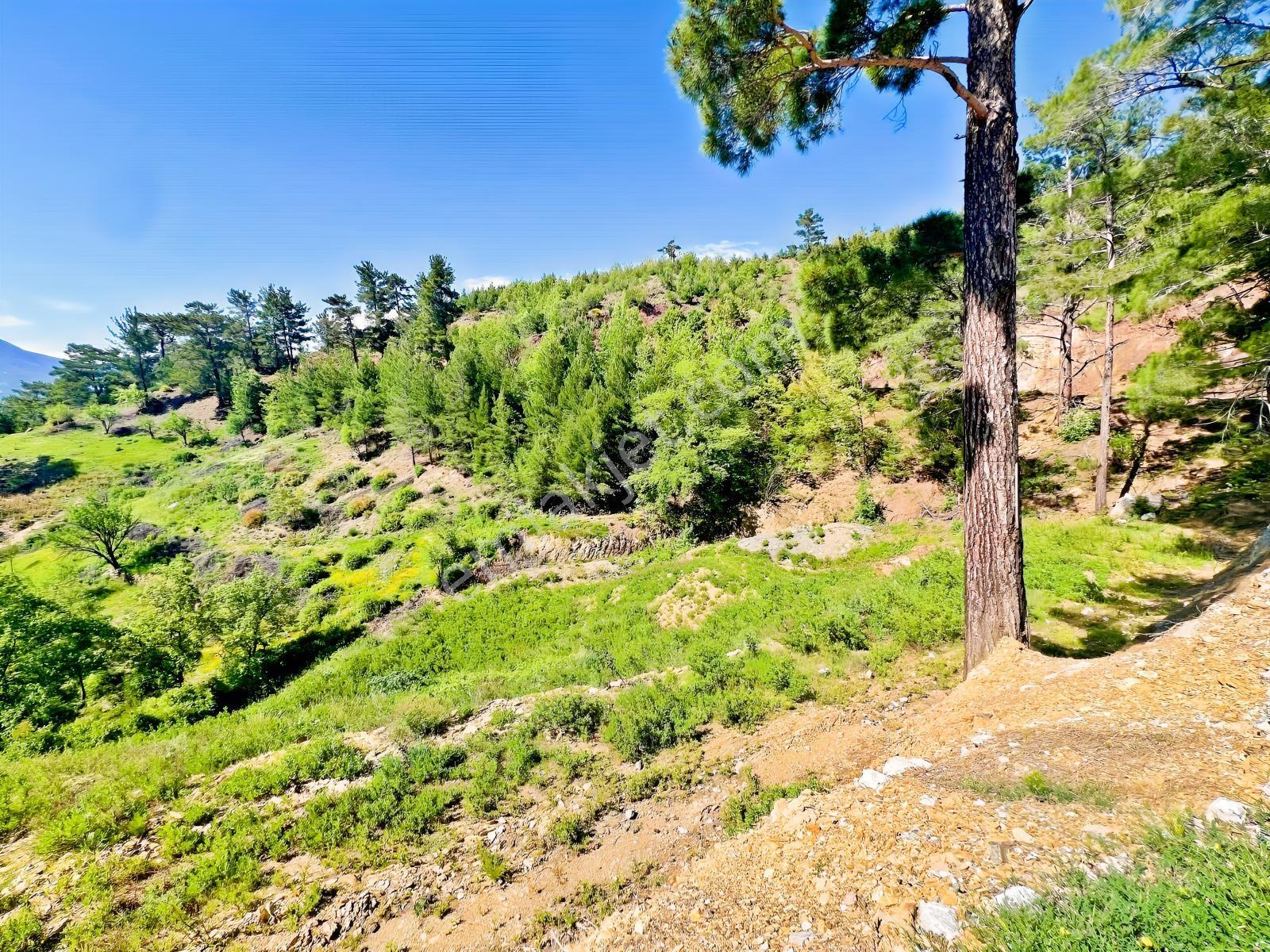 Alanya Beldibinde Satılık 4.274 M2 Doğa Manzaralı Müstakil Arsa - Görsel 8