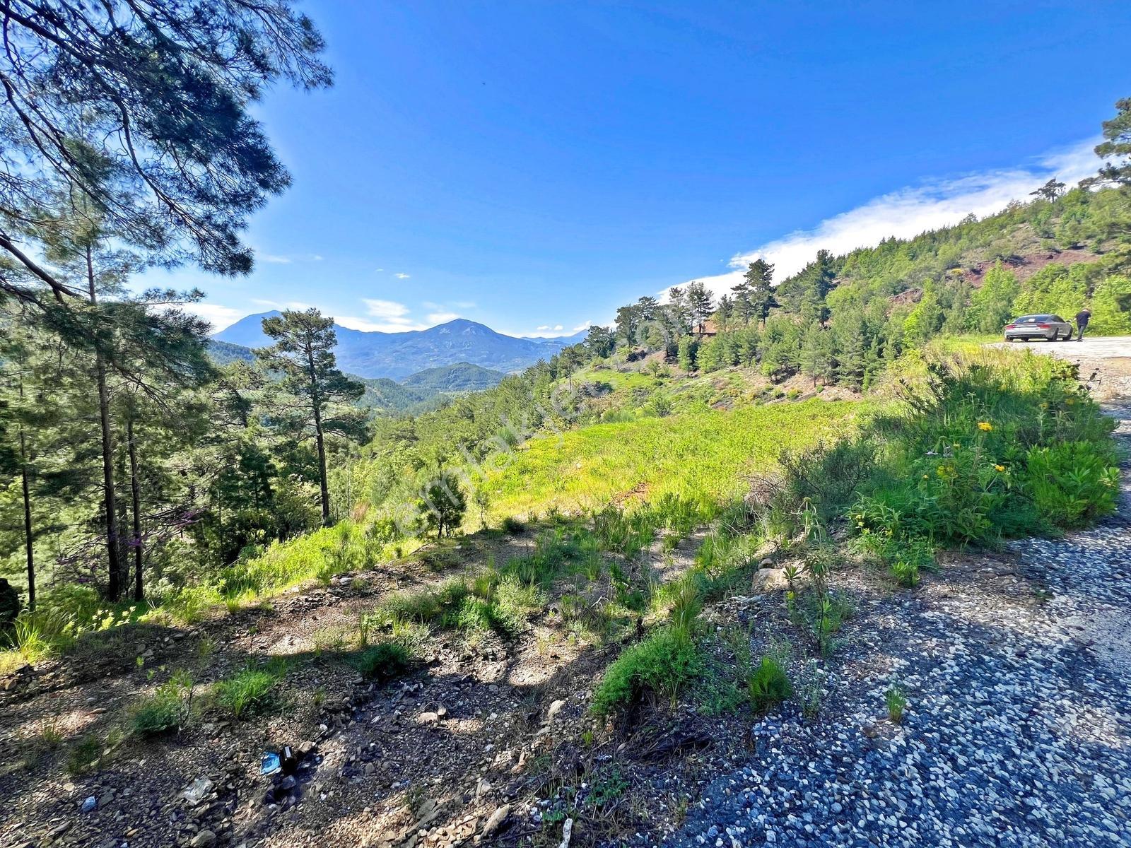 Alanya Beldibinde Satılık 4.274 M2 Doğa Manzaralı Müstakil Arsa - Görsel 15