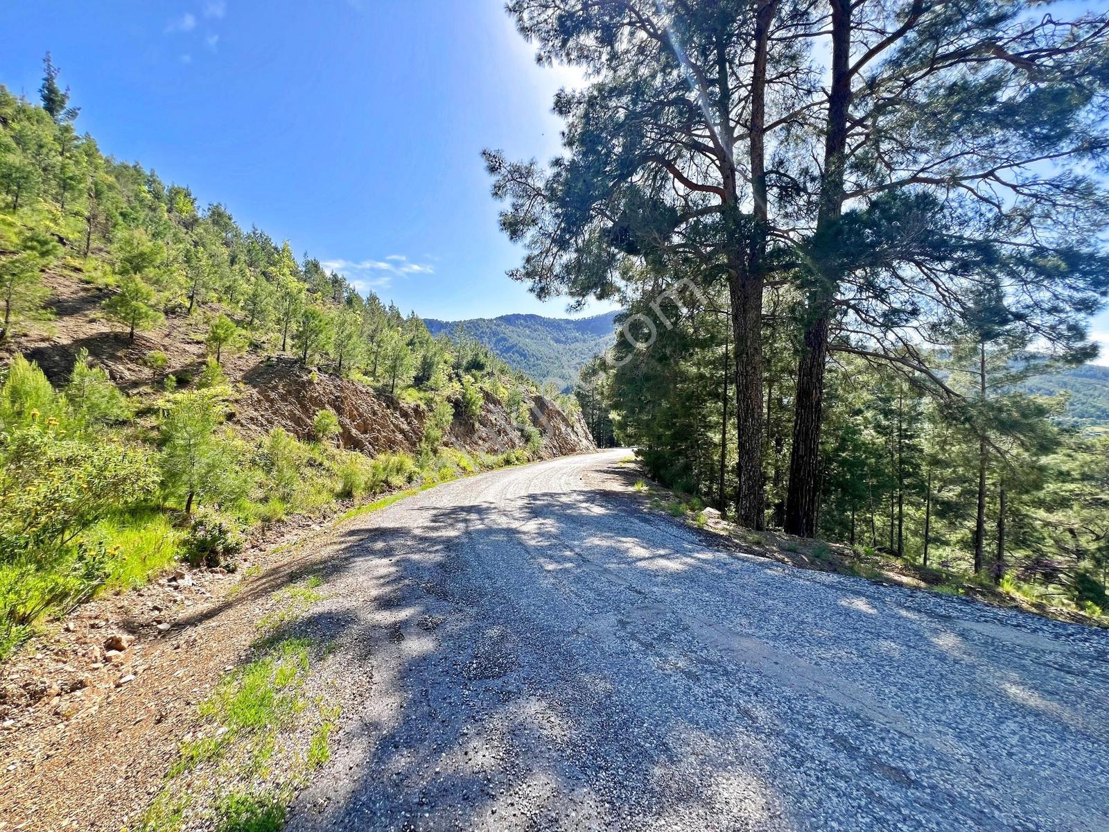 Alanya Beldibinde Satılık 4.274 M2 Doğa Manzaralı Müstakil Arsa - Görsel 27