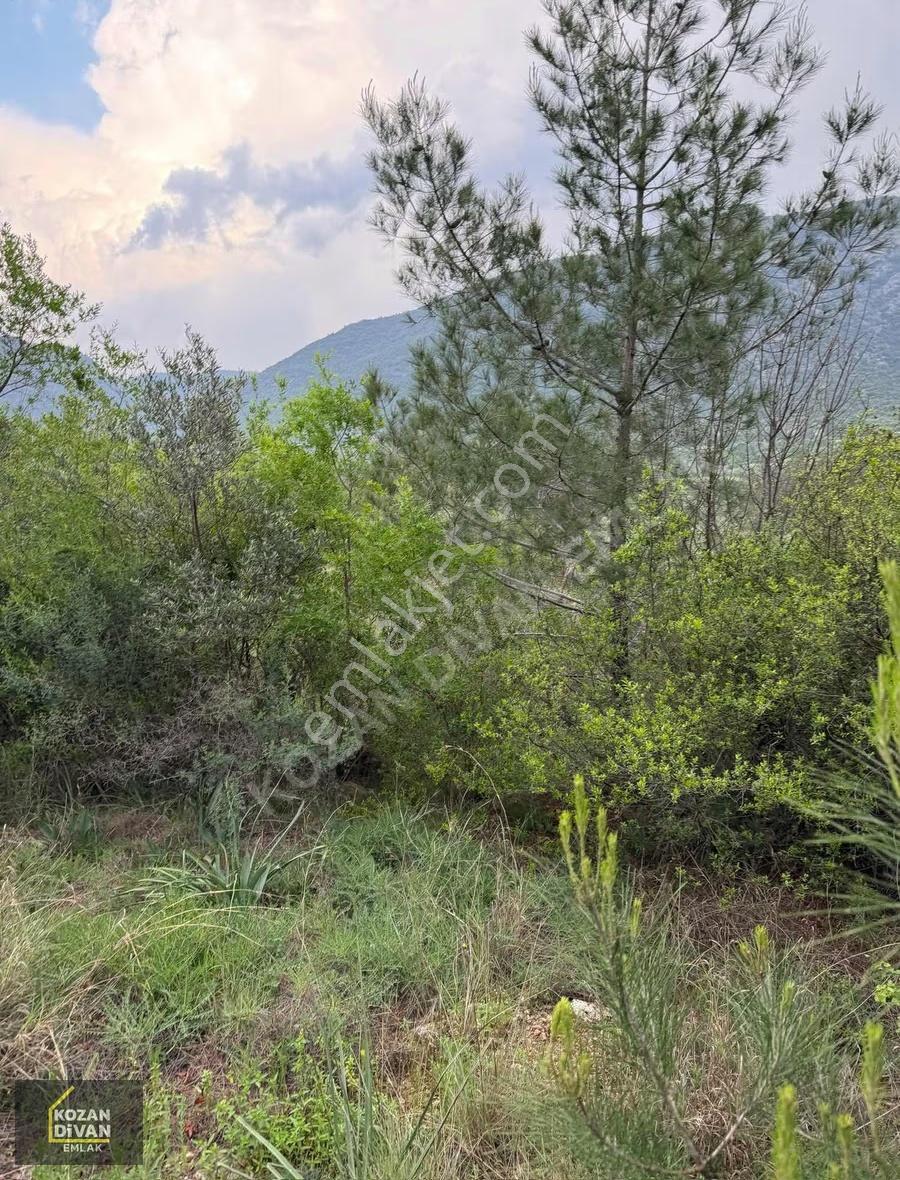 Kozan Divan Emlak'tan Ağlıboğaz'da Köşe 694 M2 Arsa - Görsel 12
