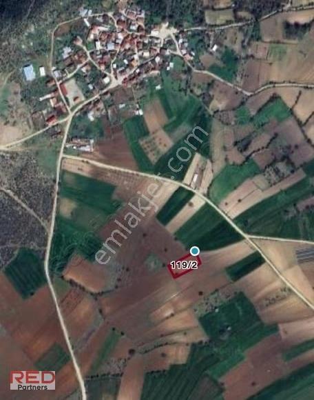 Bilecik Kınıkta 1.977 M² Verimli, Yola Cephe, Yatırımlık - Görsel 11