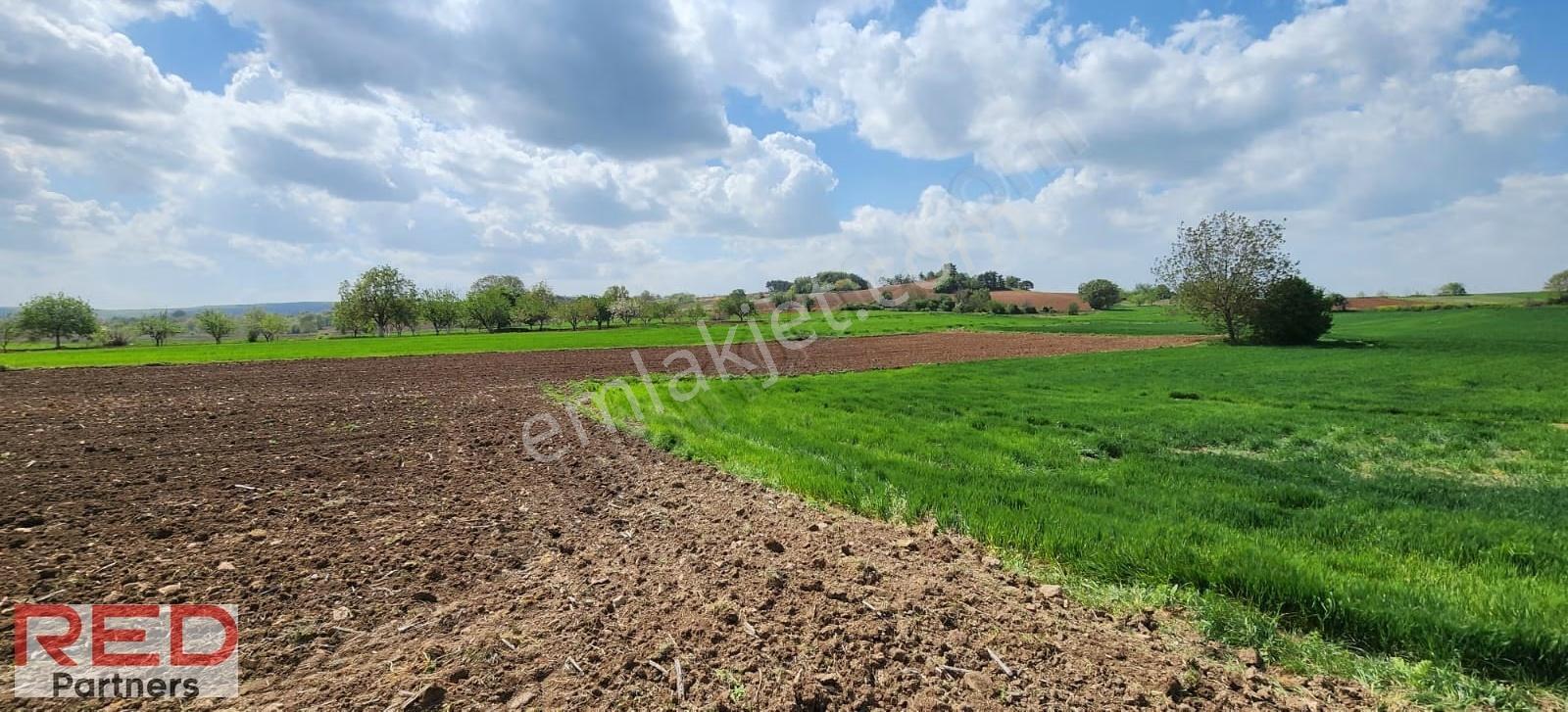 Bilecik Kınıkta 1.977 M² Verimli, Yola Cephe, Yatırımlık - Görsel 3