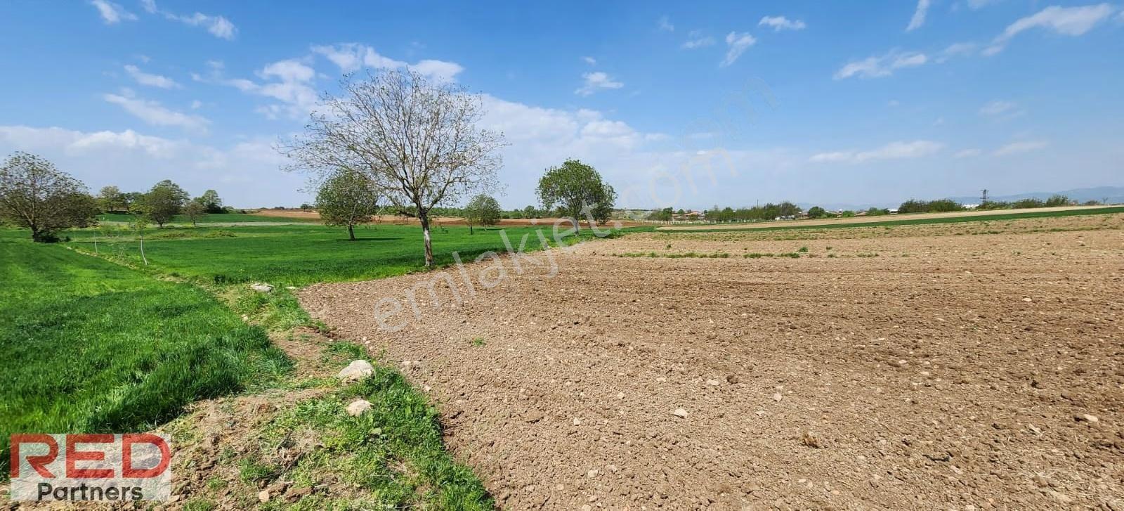 Bilecik Kınıkta 1.977 M² Verimli, Yola Cephe, Yatırımlık - Görsel 23