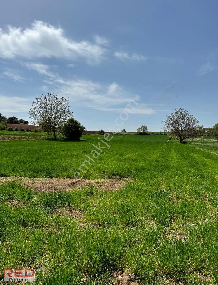 Bilecik Kınıkta 1.977 M² Verimli, Yola Cephe, Yatırımlık - Görsel 13