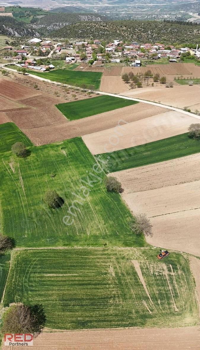 Bilecik Kınıkta 1.977 M² Verimli, Yola Cephe, Yatırımlık - Görsel 16