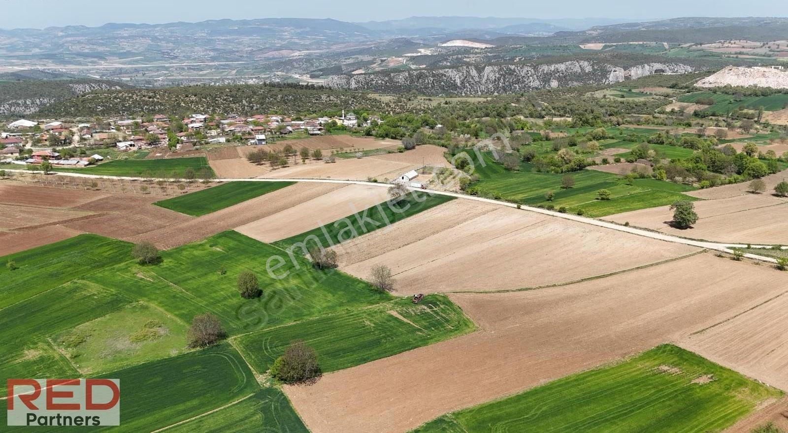 Bilecik Kınıkta 1.977 M² Verimli, Yola Cephe, Yatırımlık - Görsel 7