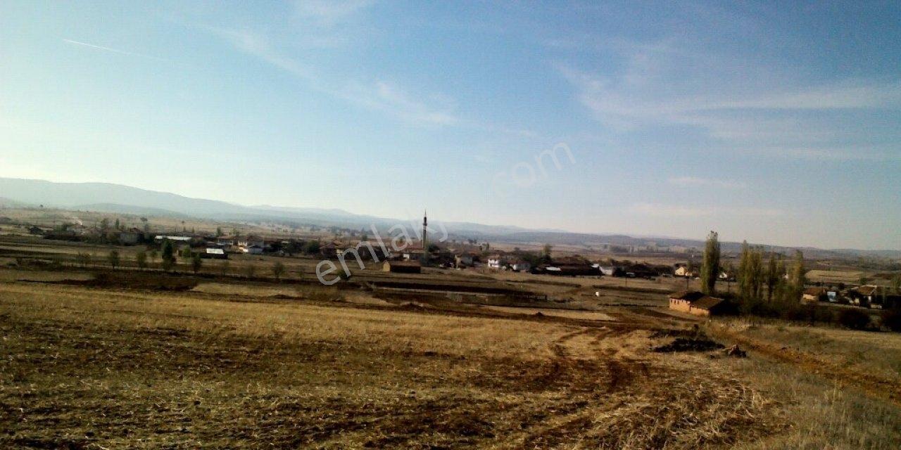 Kütahya Çavdarhisar 'da 1.515 M2 Düz Köye Yakın Fırsat Arazi !