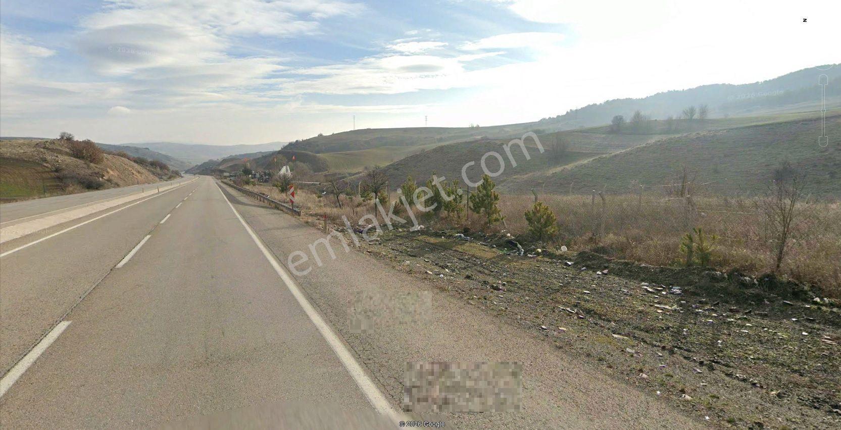 Beynamda Asfalt Yola Cepheli 500 M2 Hisseli Tarla Karadeniz Emlk - Görsel 3