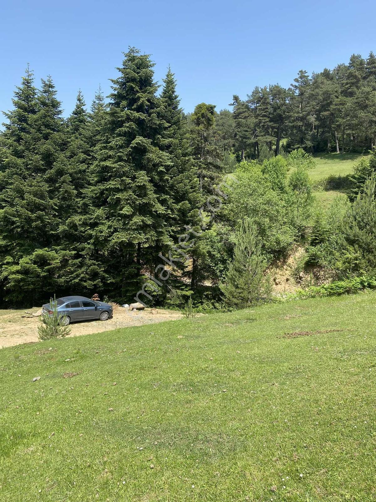 Mavi Atlas'tan Samsun Alaçam'da Geleceğe Büyük Yatırım - Görsel 6