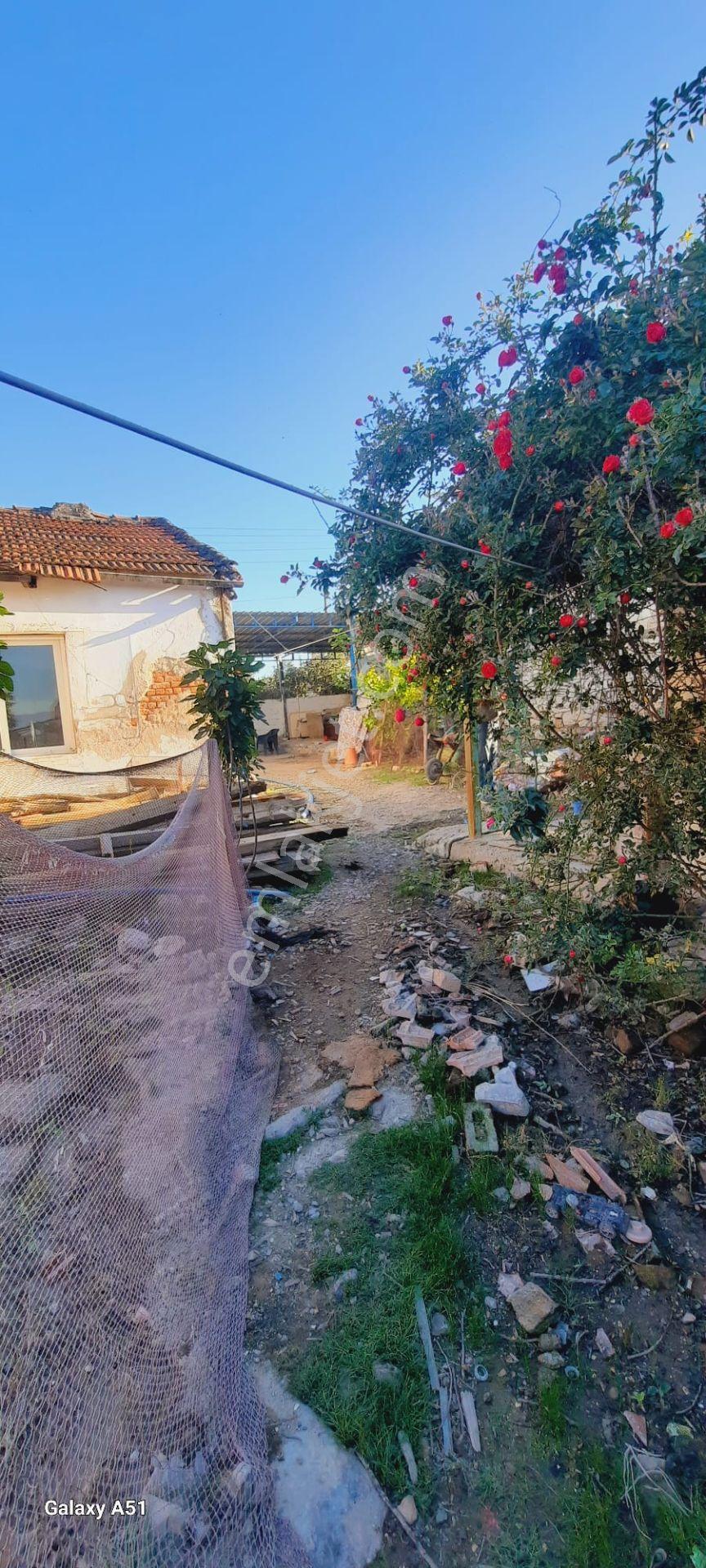 Didim Balat Mahallesinde Satılık Tek Katlı Köy Evi - Görsel 11