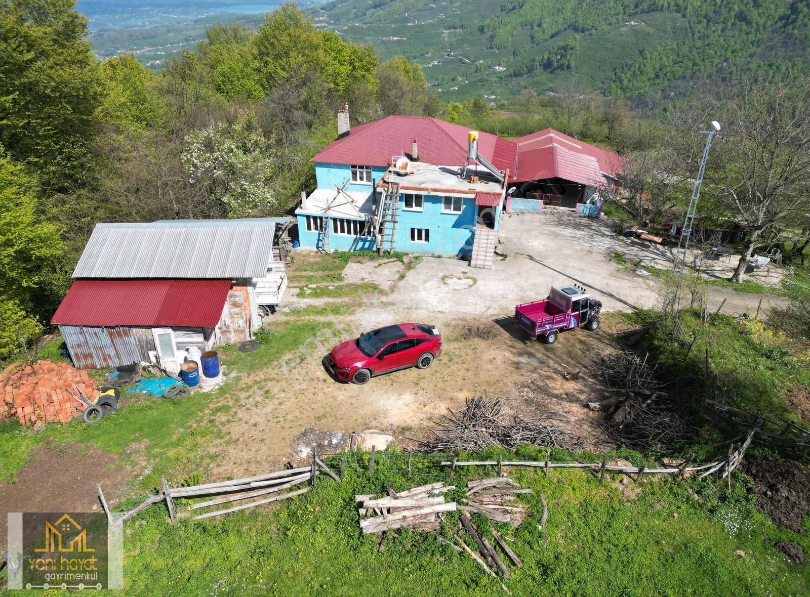 Samsun Tekkeköy Yaylagerişte Satılık Çiftlik / Fındıklık - Görsel 12