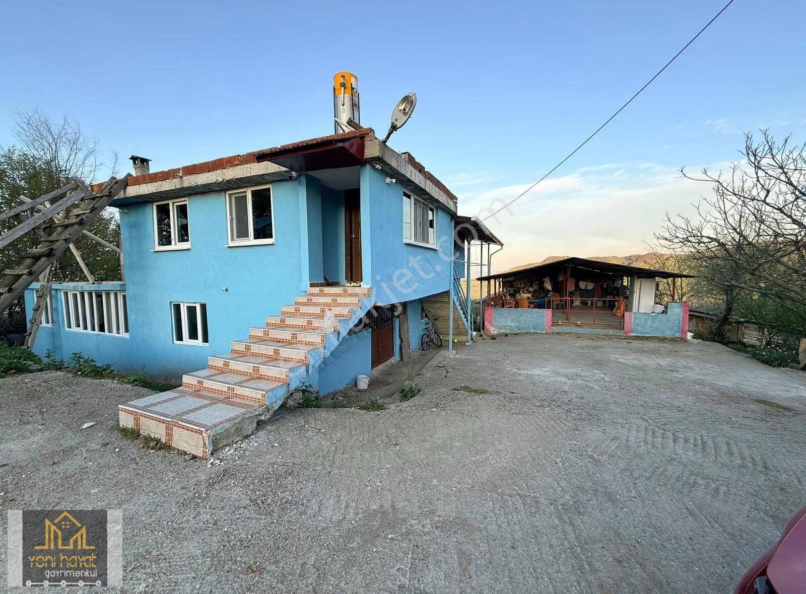 Samsun Tekkeköy Yaylagerişte Satılık Çiftlik / Fındıklık - Görsel 33
