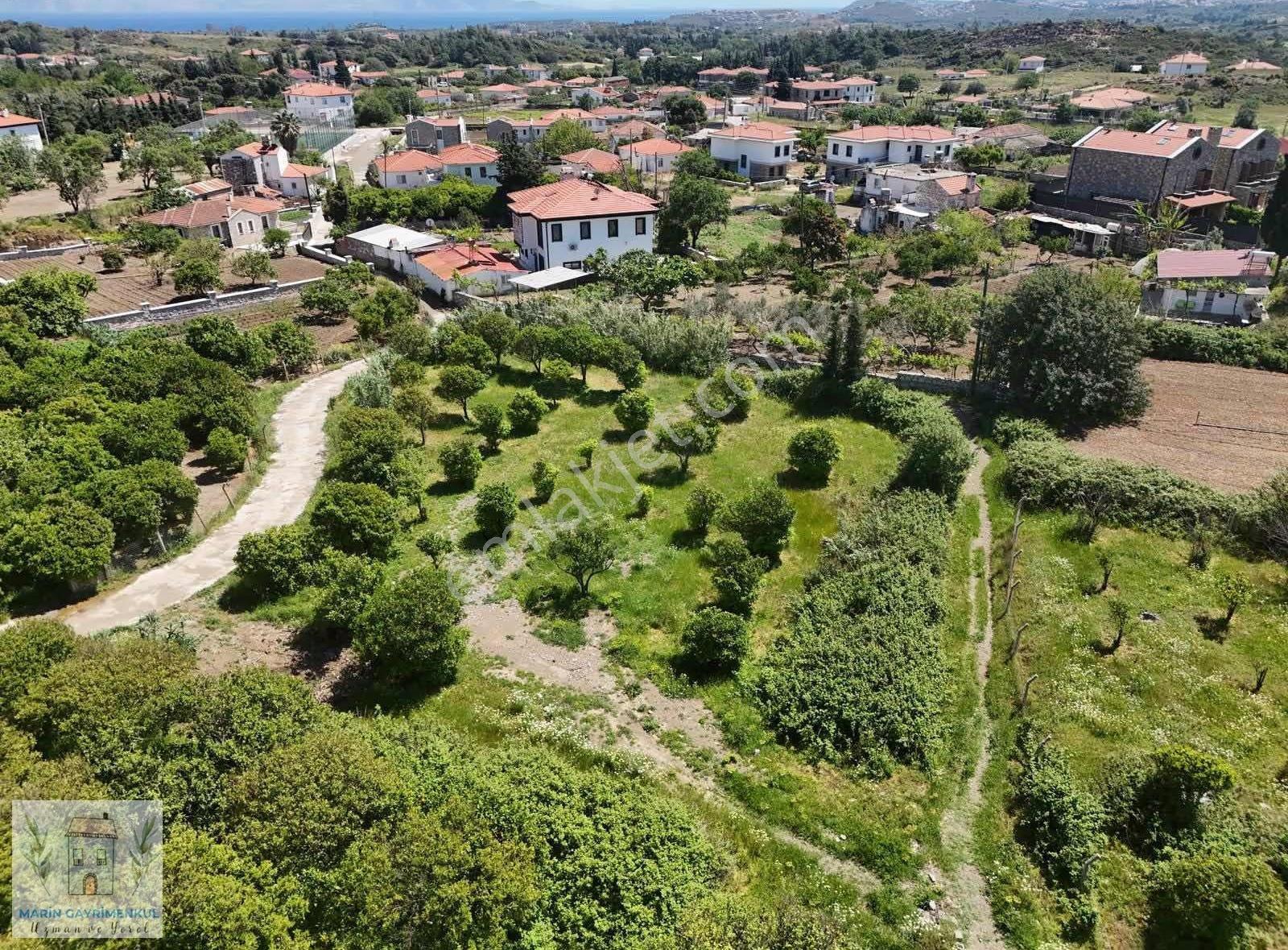 Marin'den Palamutbükü'nde 1.889 M2 Satılık Bademlik - Görsel 6