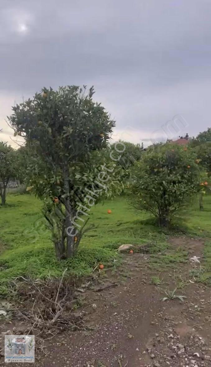 Datça Kızlan Köyünde İmarlı Arsa Kaçırılmayacak Fırsat! - Görsel 2