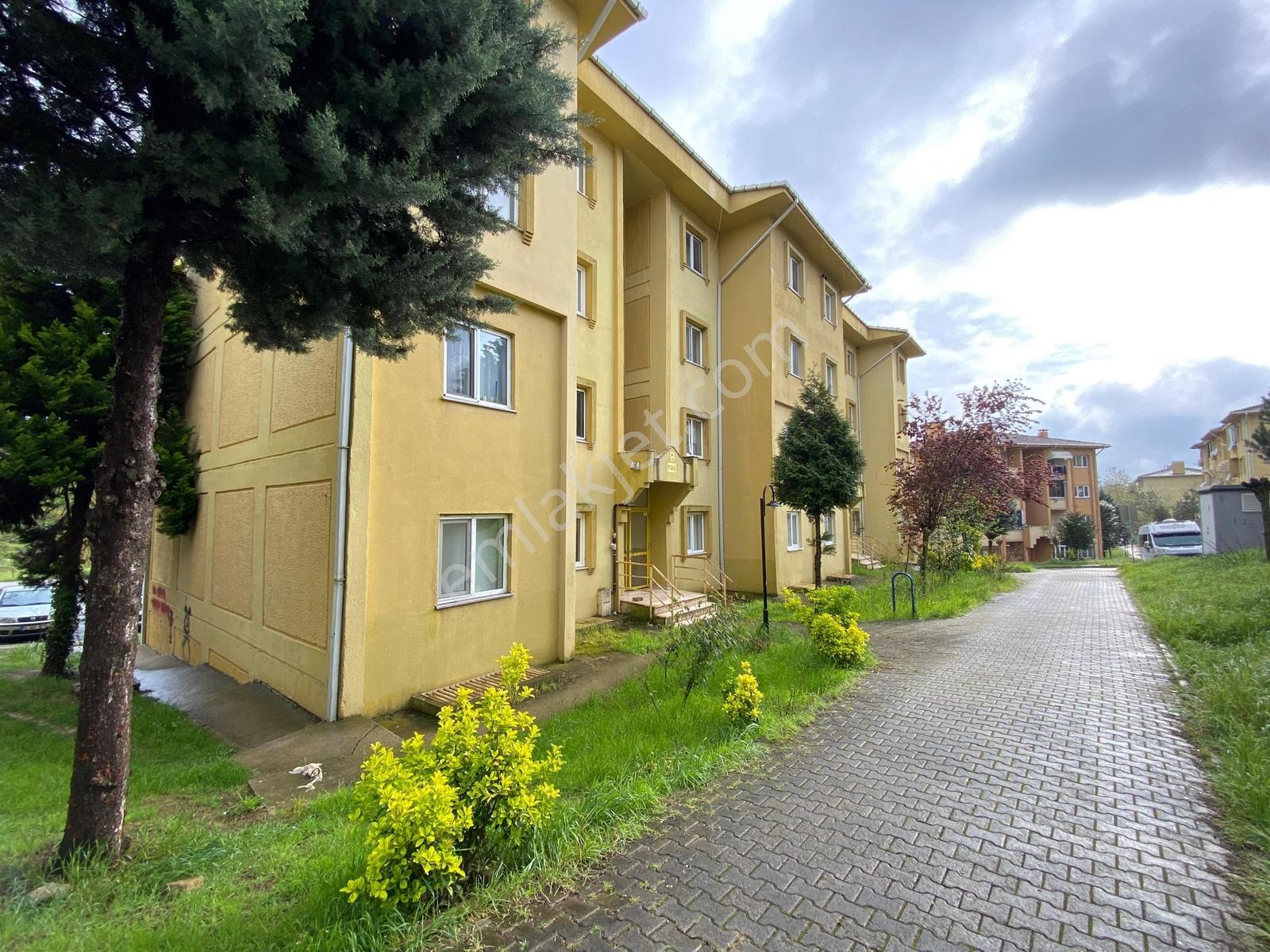 Korucuk'ta Kiralık 2+1 Eşyalı Daire - Turgut Gayrimenkul - Görsel 10