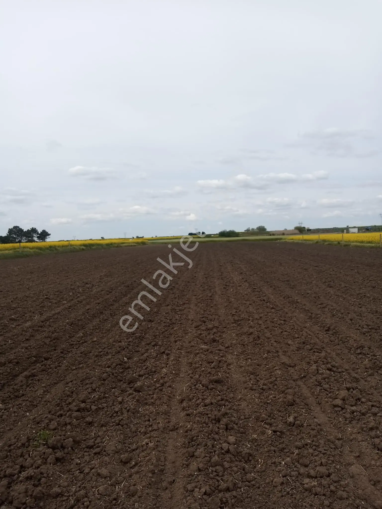 Tekirdağ Saray Çukuryurt'ta 4,640 M2 Emsallerin Çok Altında Fiyat