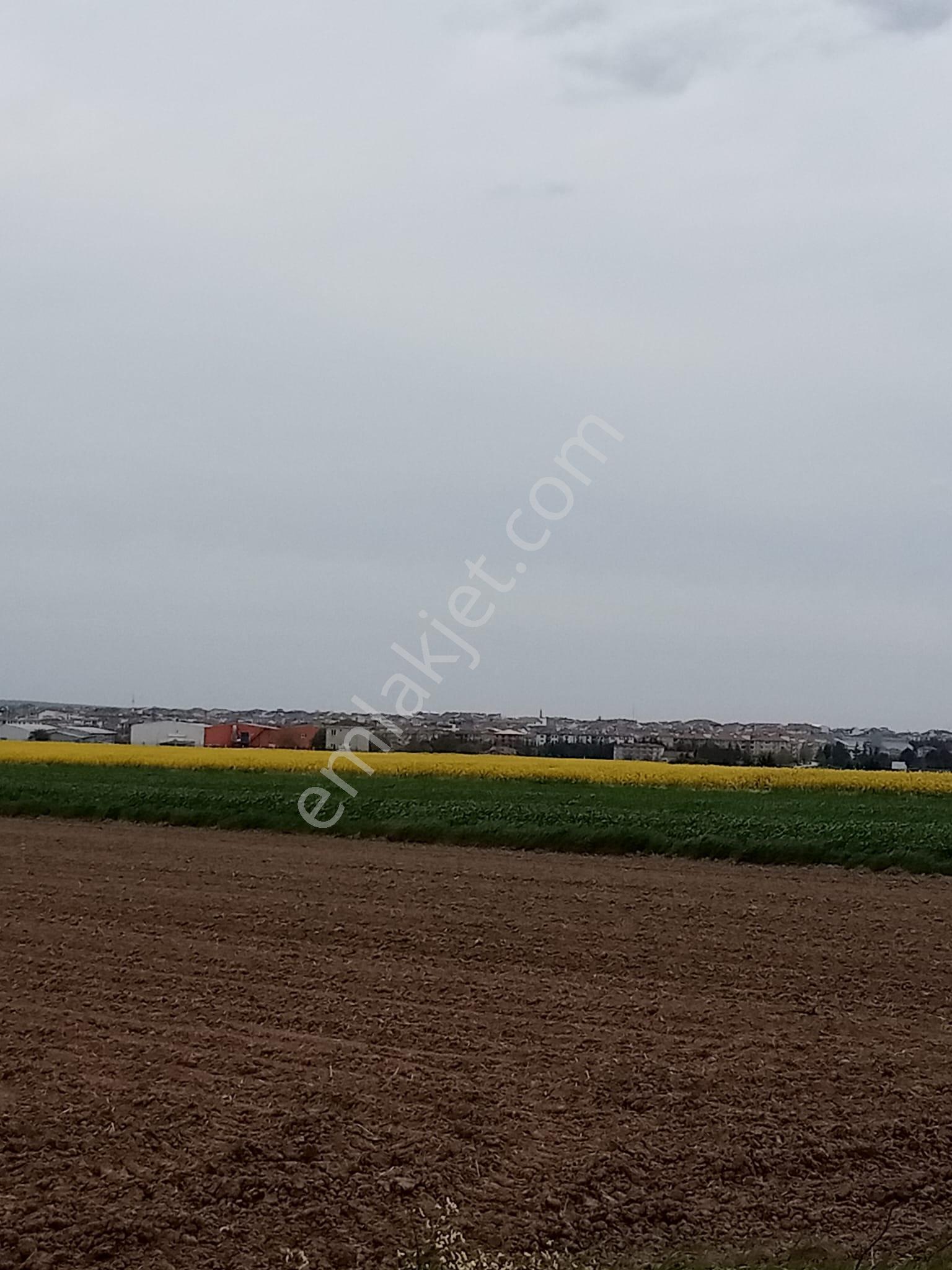 Tekirdağ Saray Çukuryurt'ta 4,640 M2 Emsallerin Çok Altında Fiyat - Görsel 6